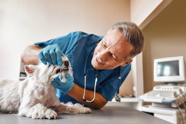 Best Weekend Emergency Dentist in Caddo, OK